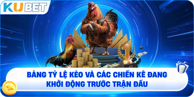 Bảng tỷ lệ kèo và các chiến kê đang khởi động trước trận đấu