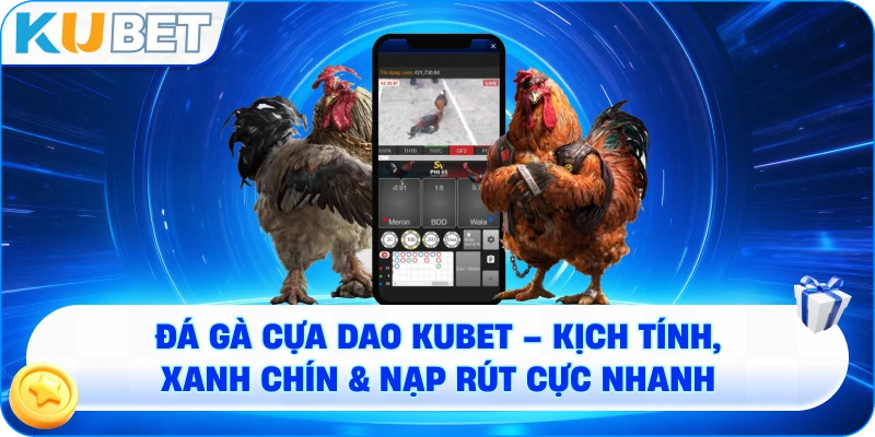 Đá gà cựa dao KUBET – Trải nghiệm cá cược đỉnh cao và xanh chín